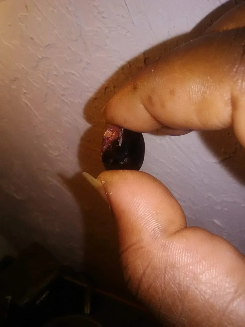 Natural Oval BIG 13.26ct Dark Green & Pink Tourmaline
